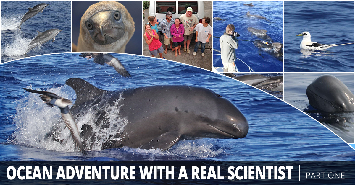 Ocean Adventure with a Real Scientist - One