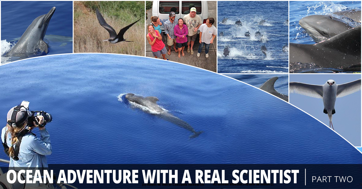 Ocean Adventure with a Real Scientist - Two